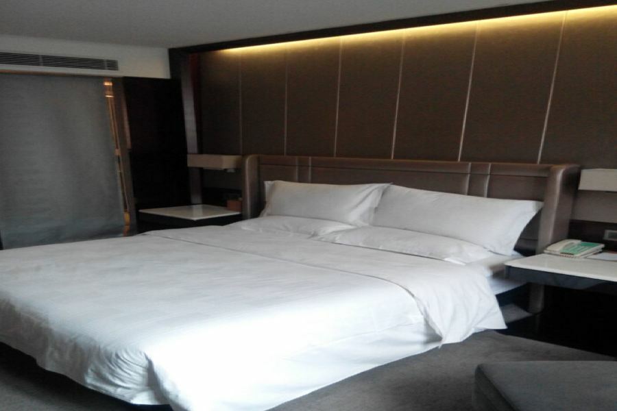 Tibet Minshan Hotel Lhasa Extérieur photo